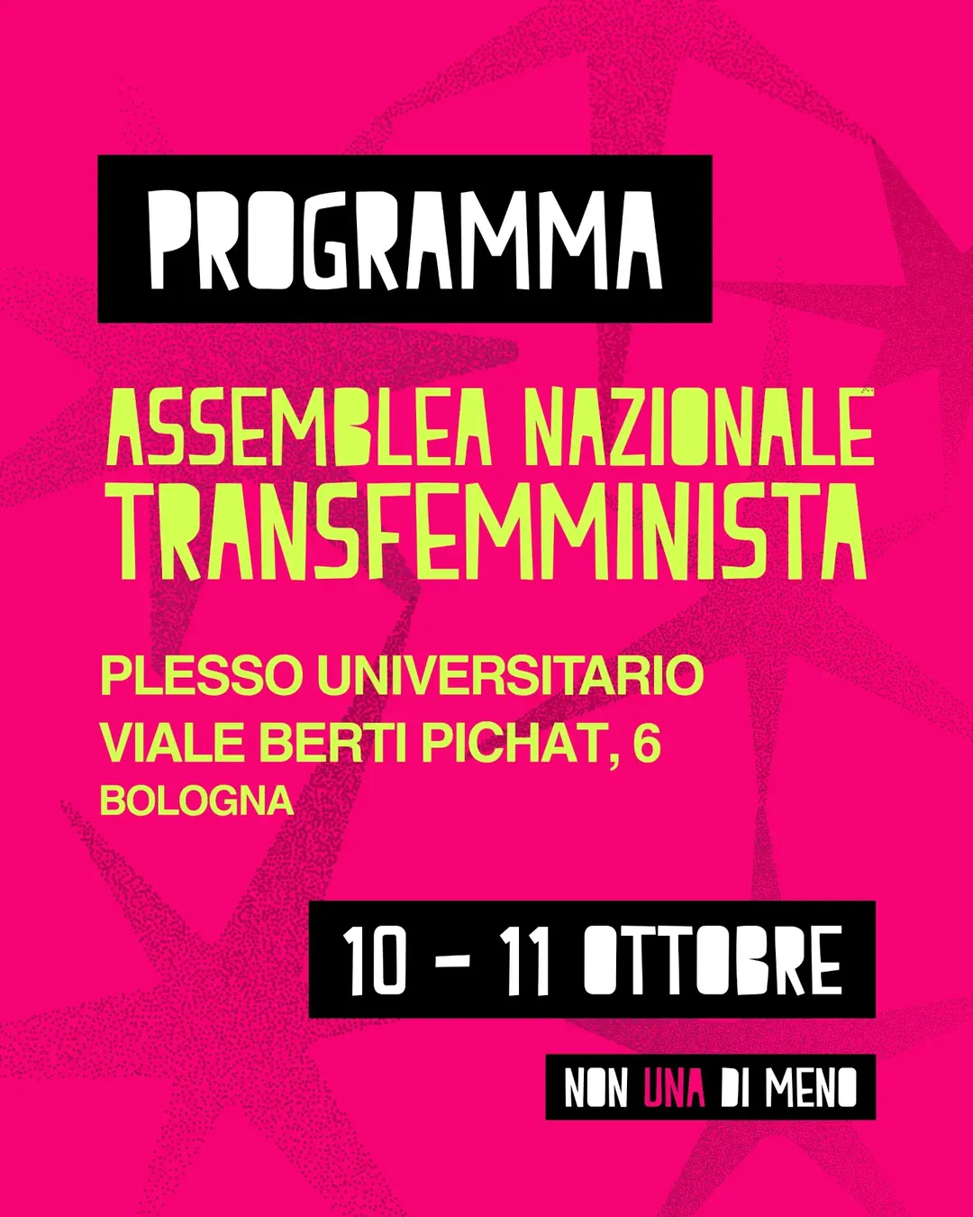 National Transfeminist Assembly of Non Una Di Meno in Bologna